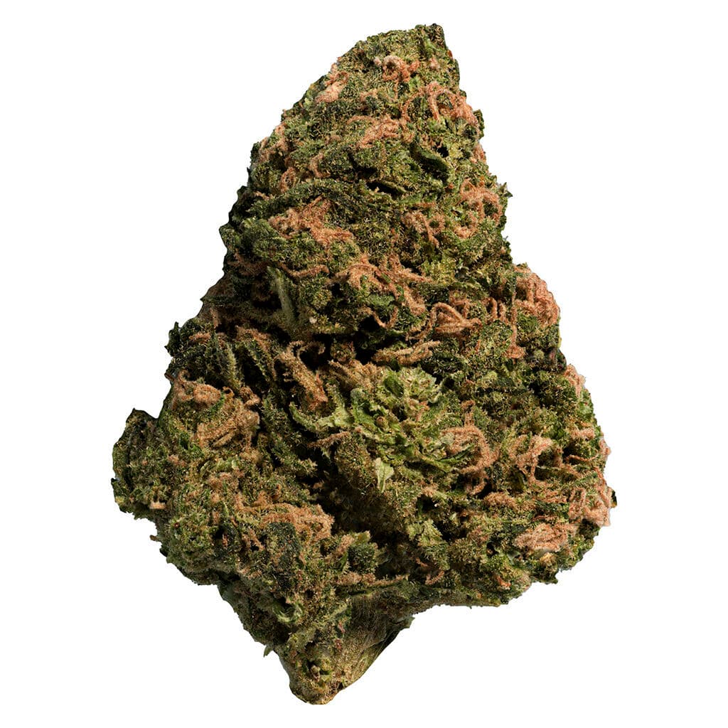 Big Steal - BC Organic Sungrown Bonkers - Hybrid - 28g