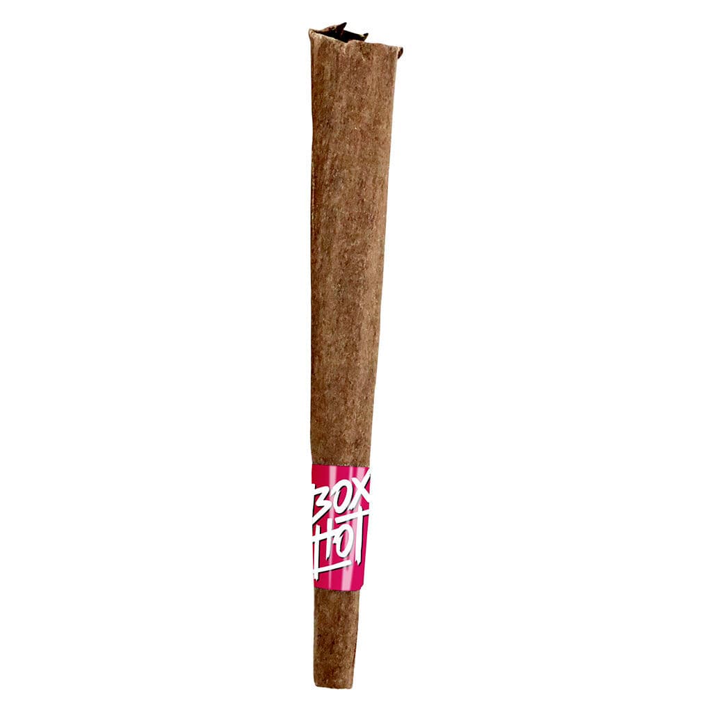 BOXHOT - Fatties - Dragon's Breath Infused Blunt - Sativa - 1x1g
