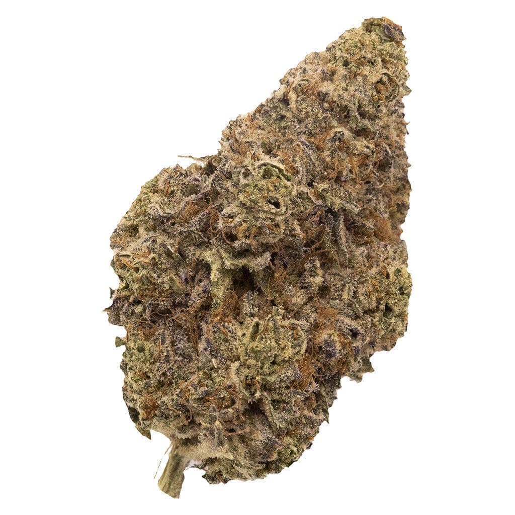 FIGR - Chatty Kathy - Dried Flower - Sativa - 14g