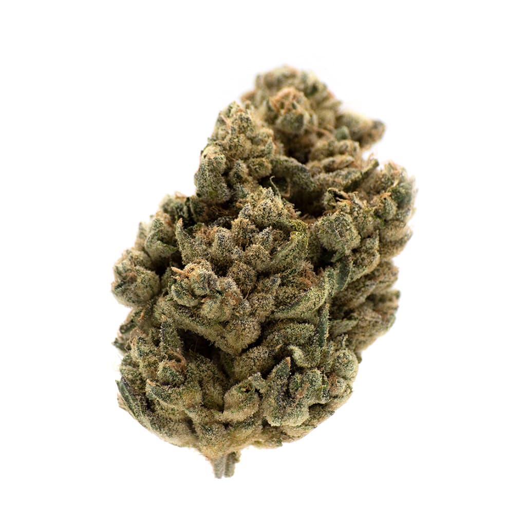 MTL Cannabis - Jungl' Cake - Sativa - 3.5g