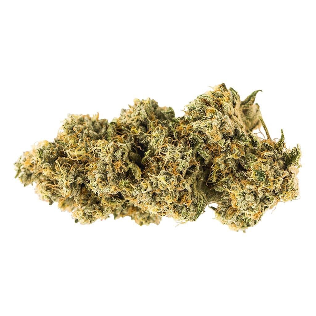 Carmel - Animal Face - Sativa - 7g