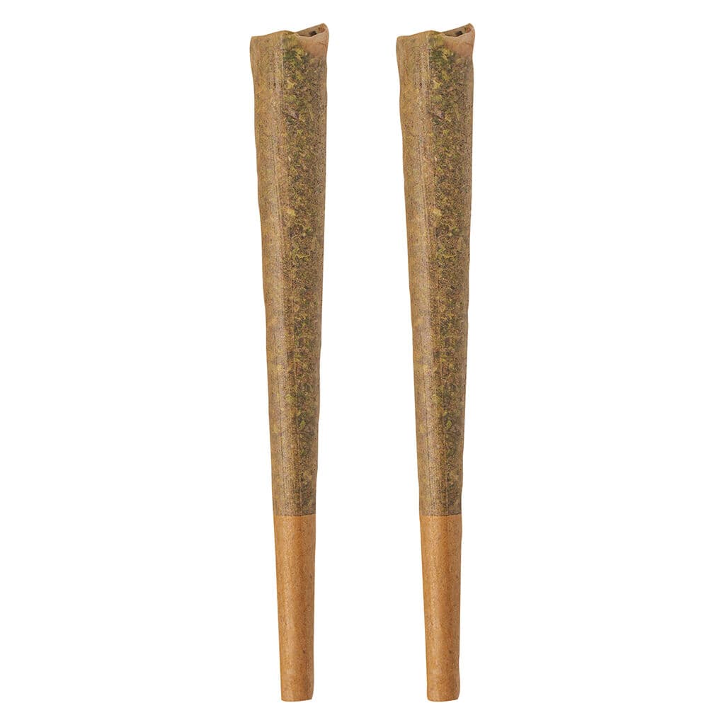 BOLD - GLAZED Sativa Pre-Roll - 2x1g